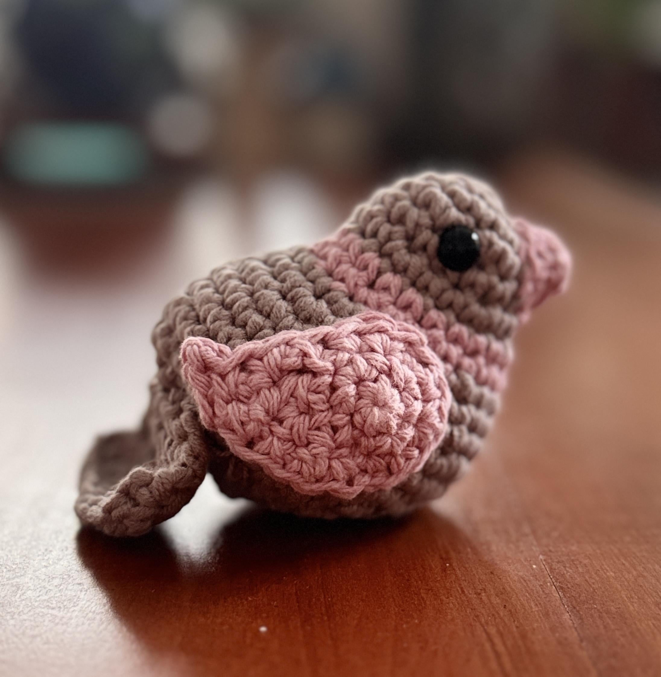 more-projects-from-class-img