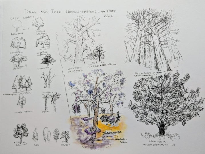 Doddle Any Tree with Toby