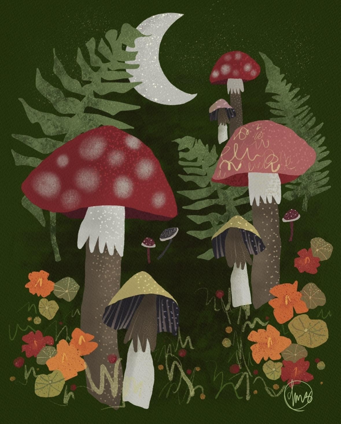 more-projects-from-class-img