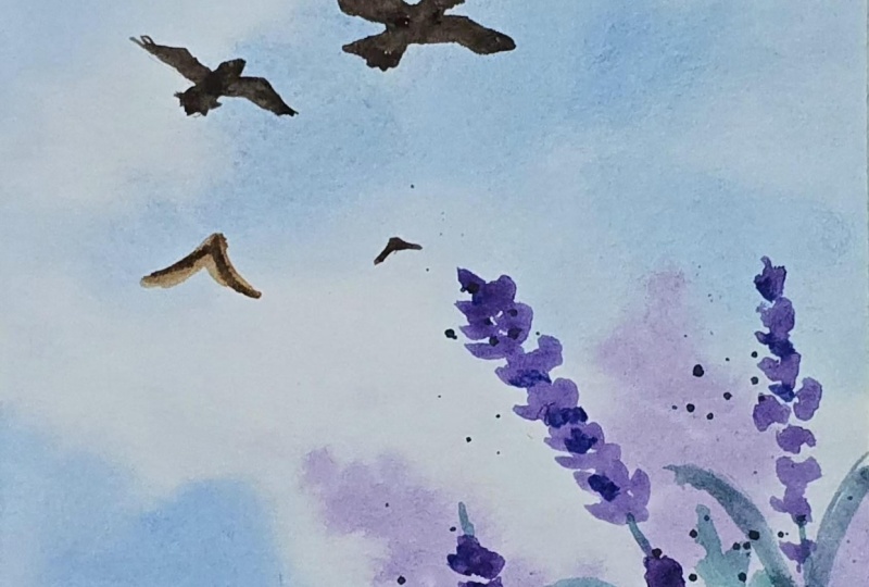 Nature paintings