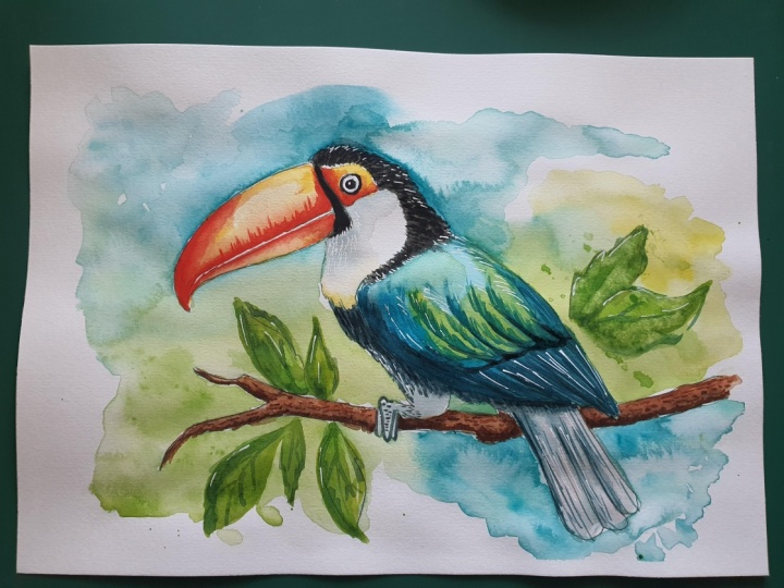 Tucan get it