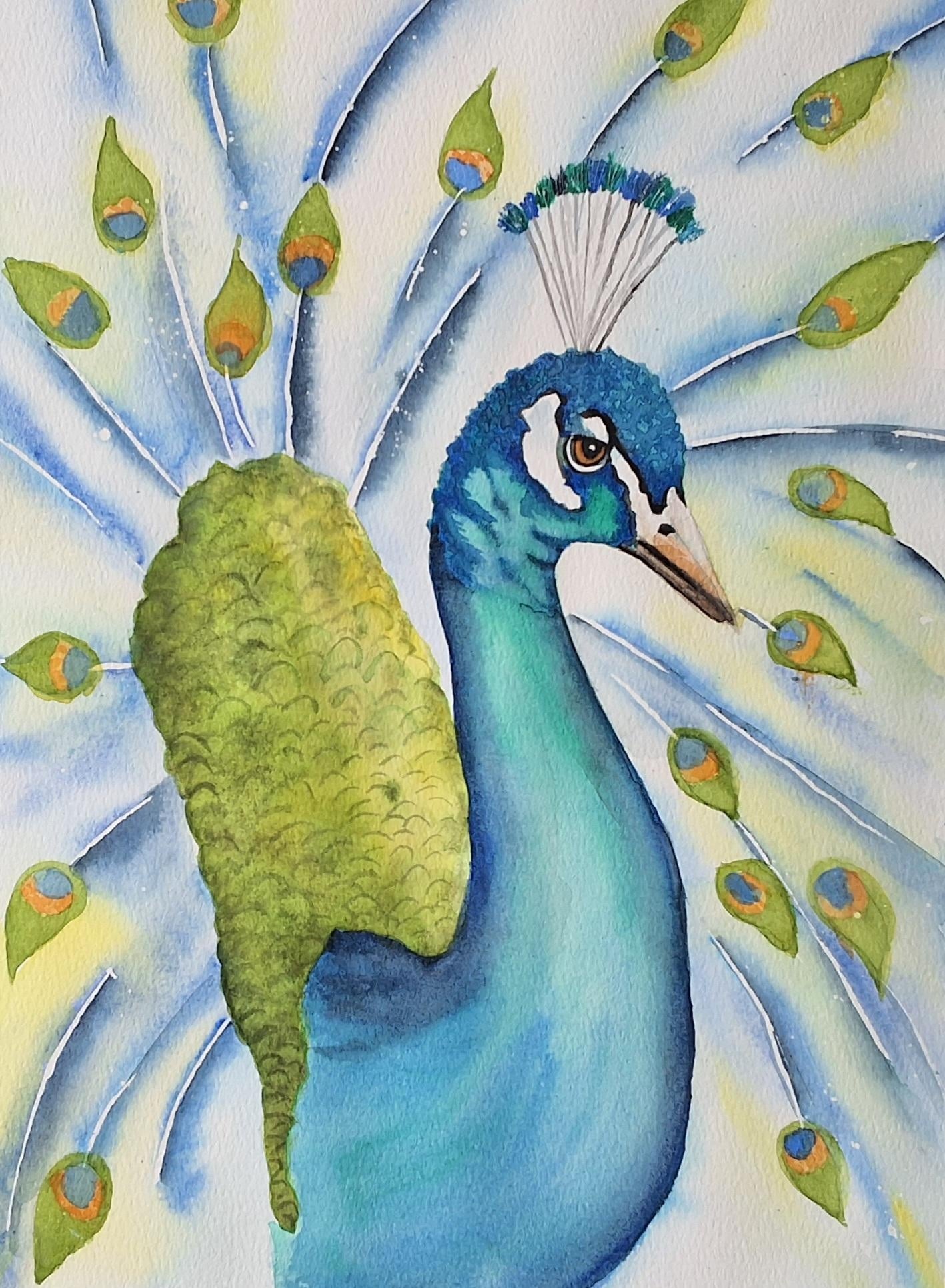 Peacock - student project