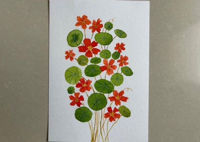 Beginner watercolor florals