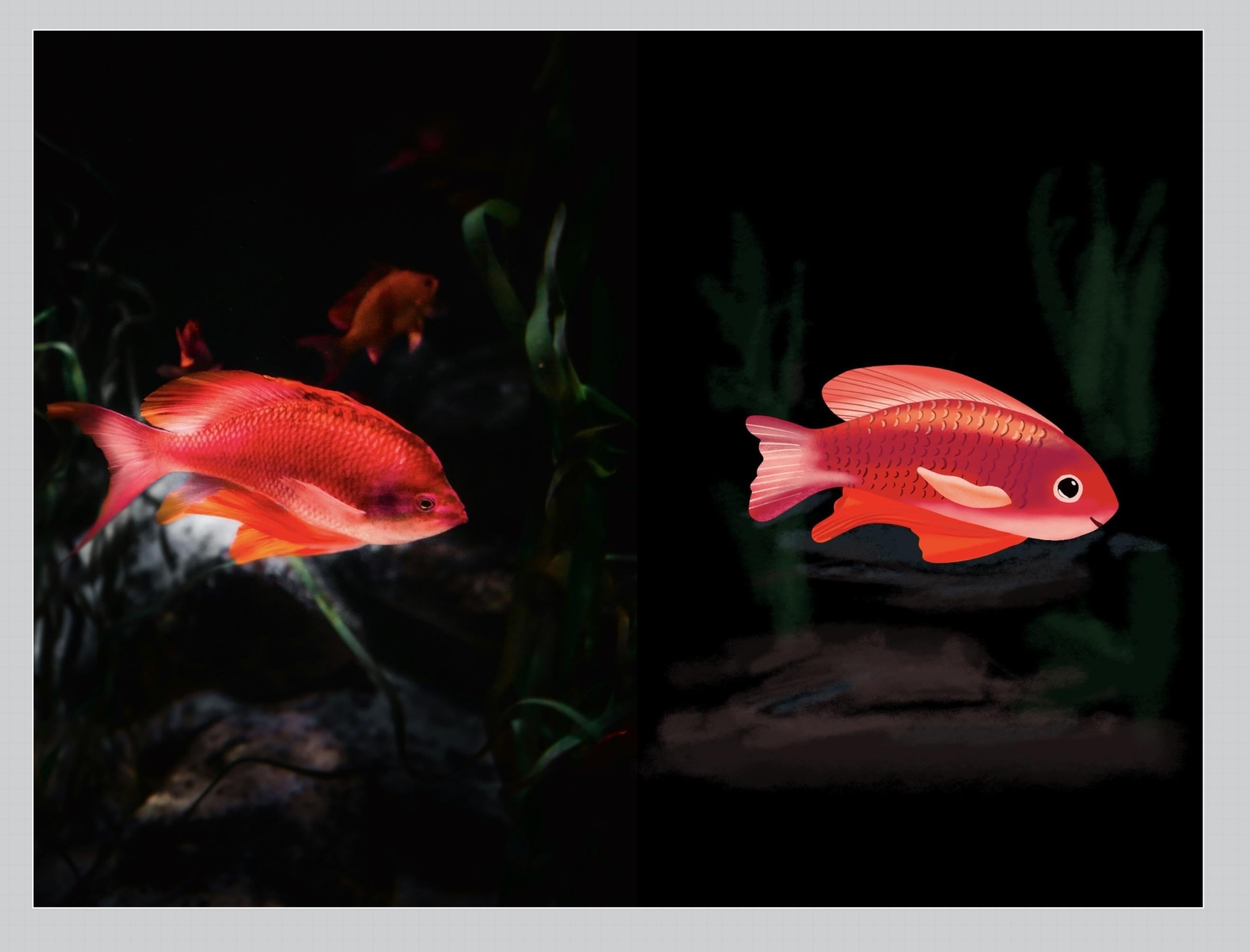 more-projects-from-class-img