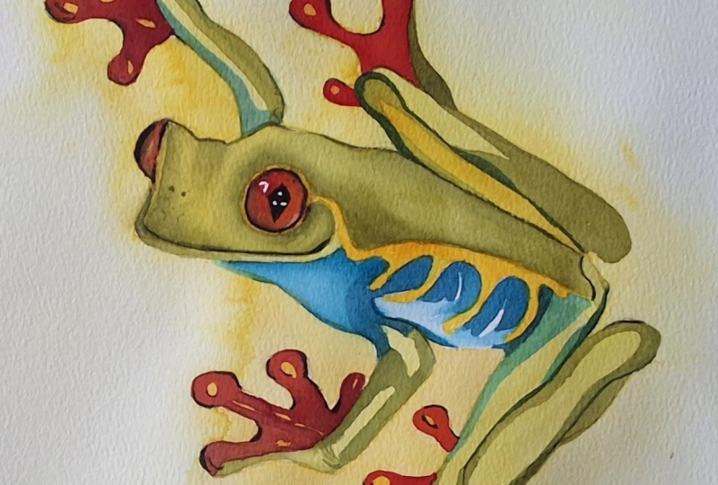 Tree frog