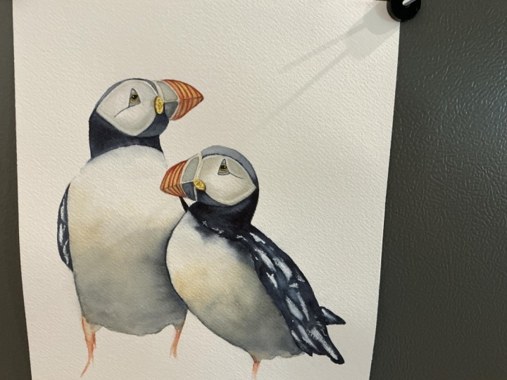 Nadine’s Puffins