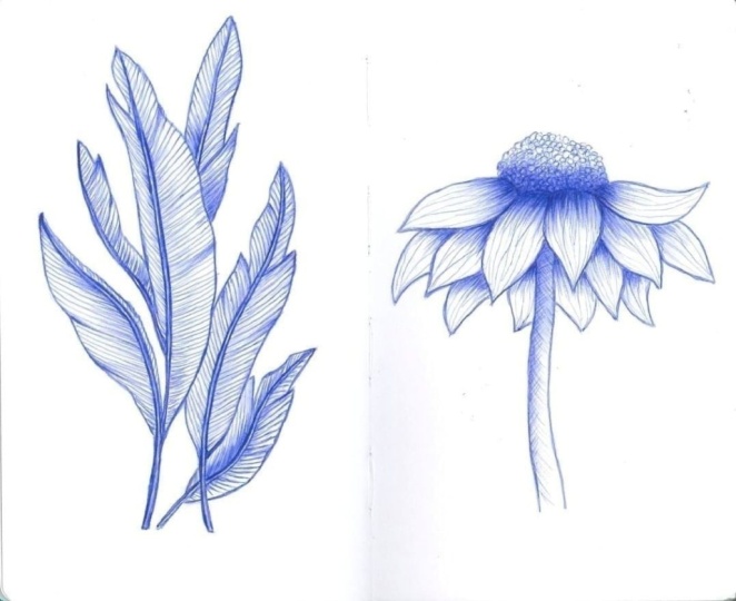 Pocket Sketchbook Projects