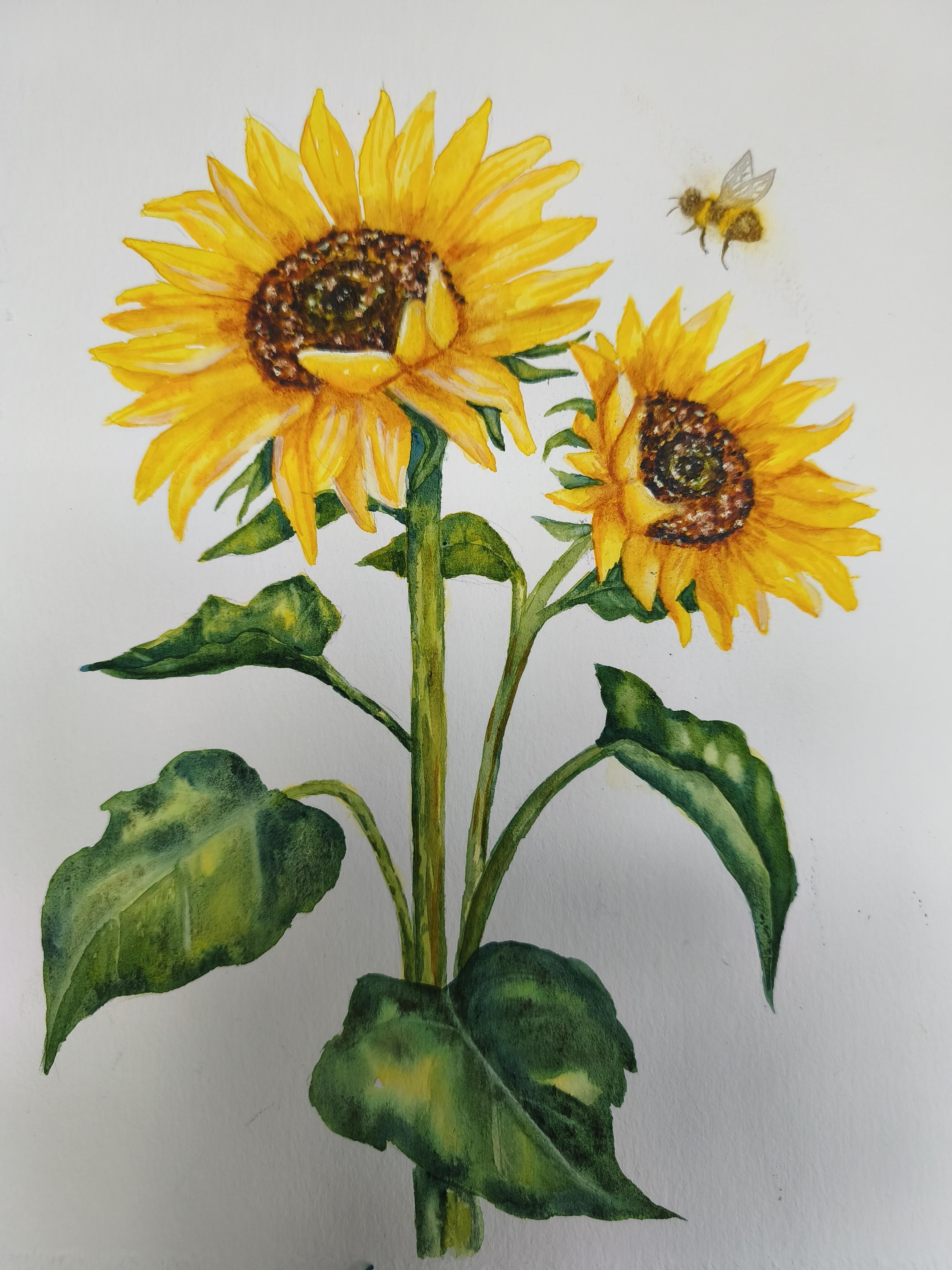 more-projects-from-class-img
