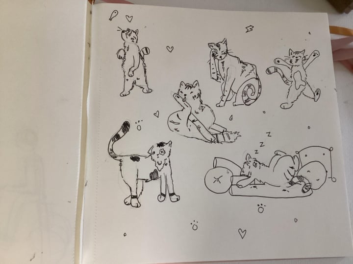 My kitty cats!