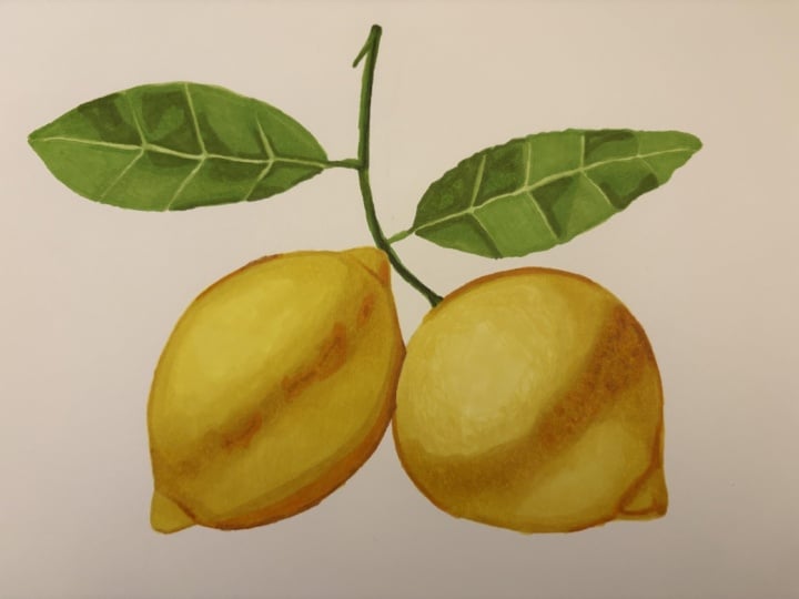 Lemons with Ohuhu Markers