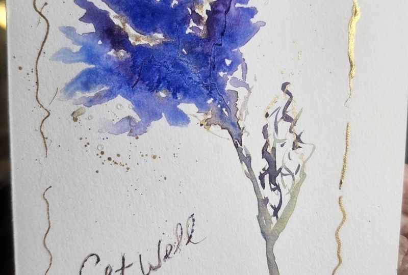 Bold purplish blue bloom