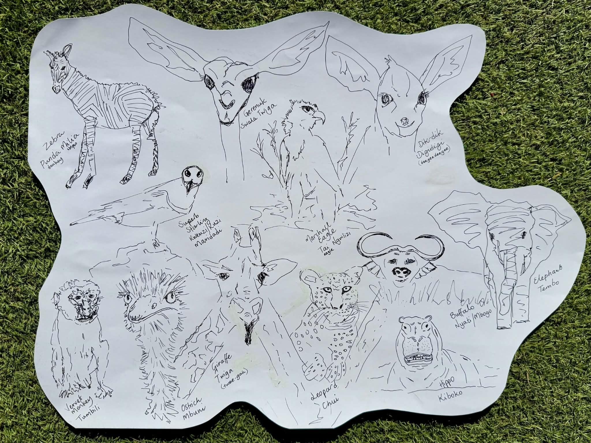 more-projects-from-class-img