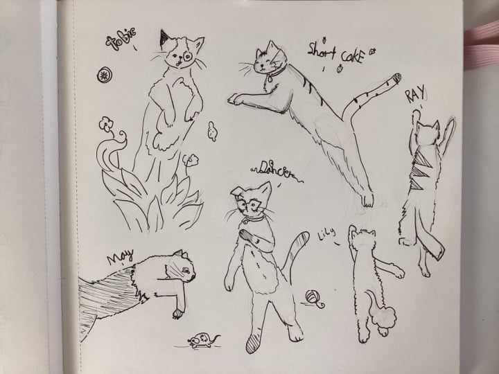 Cats!