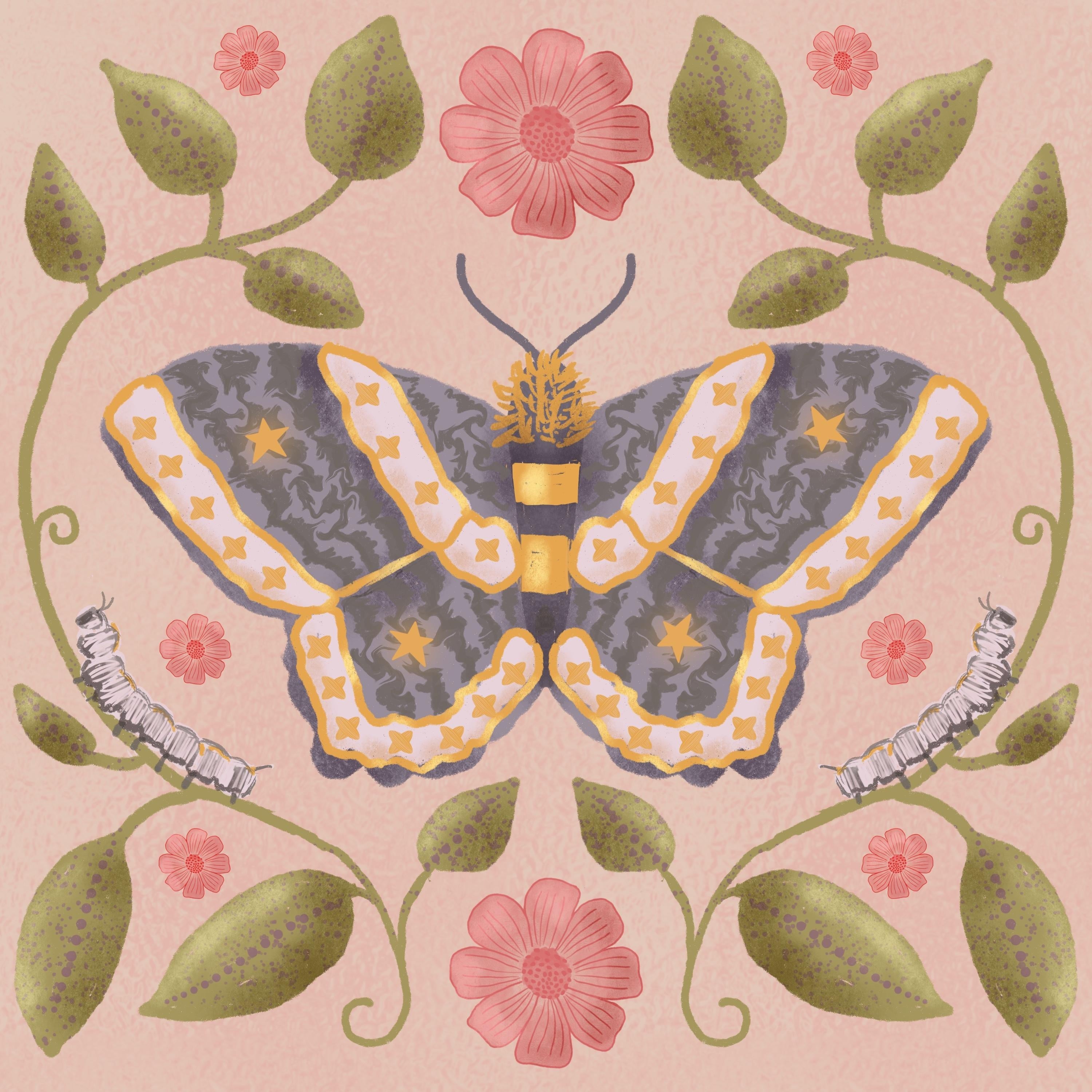 more-projects-from-class-img