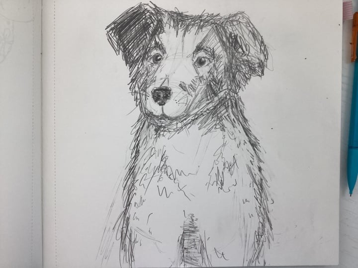 My dog