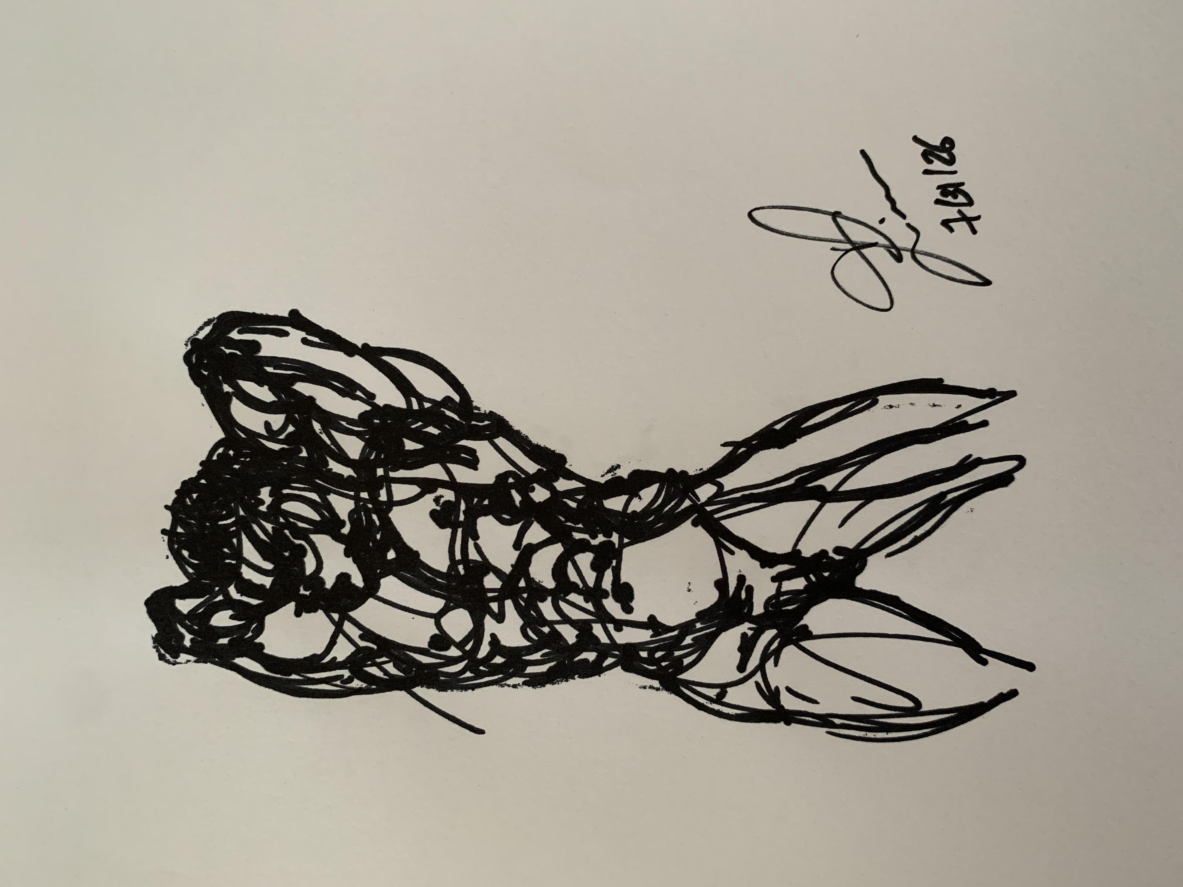 more-projects-from-class-img