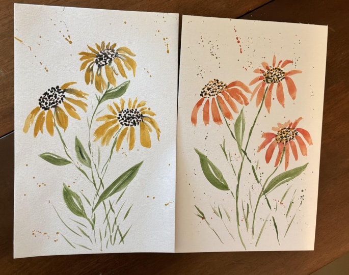Coneflowers