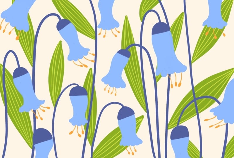 Day11-Bluebells
