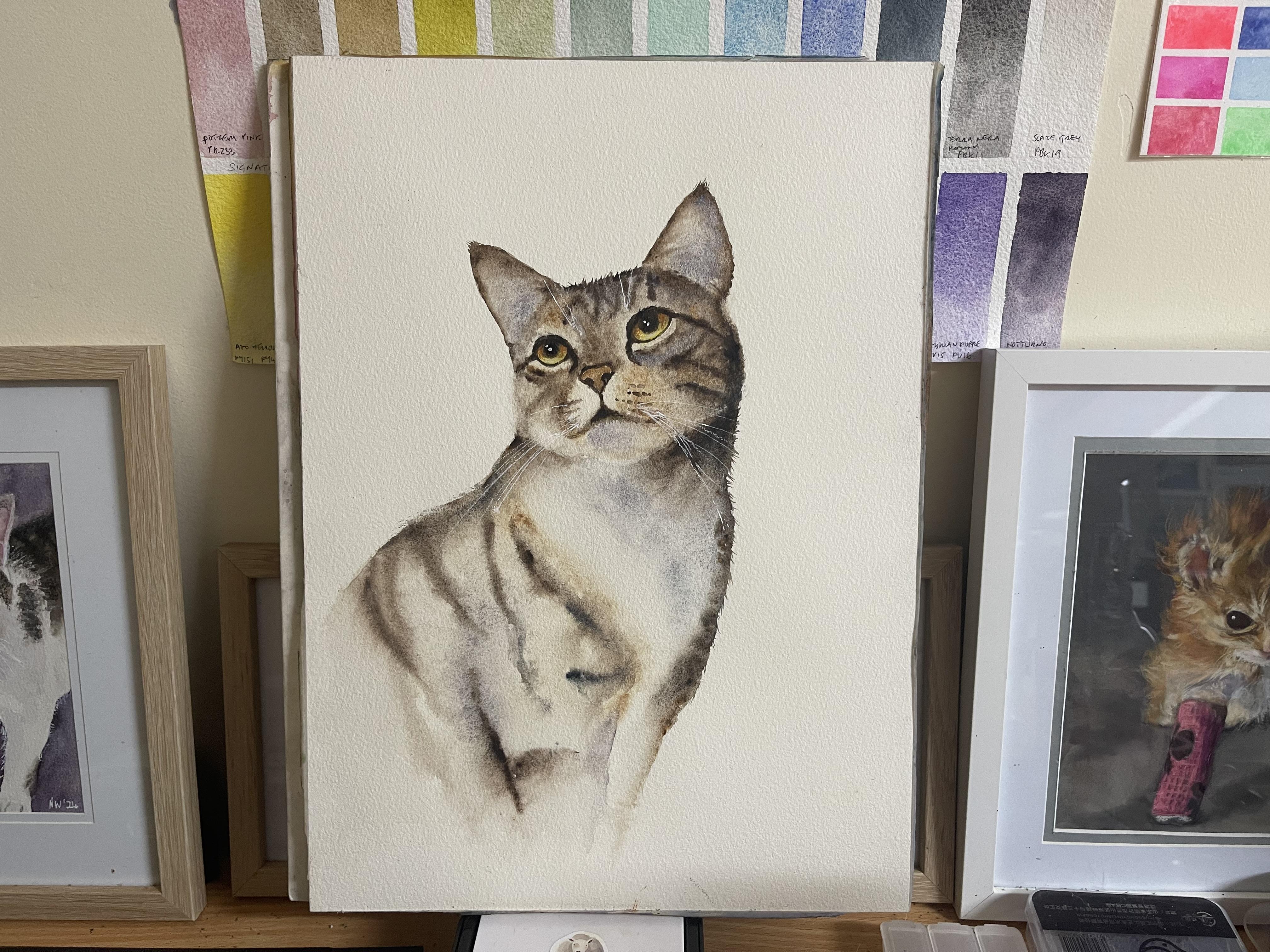 Tabby Cat - student project