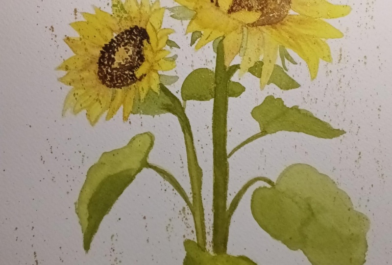 Happy sunflowers