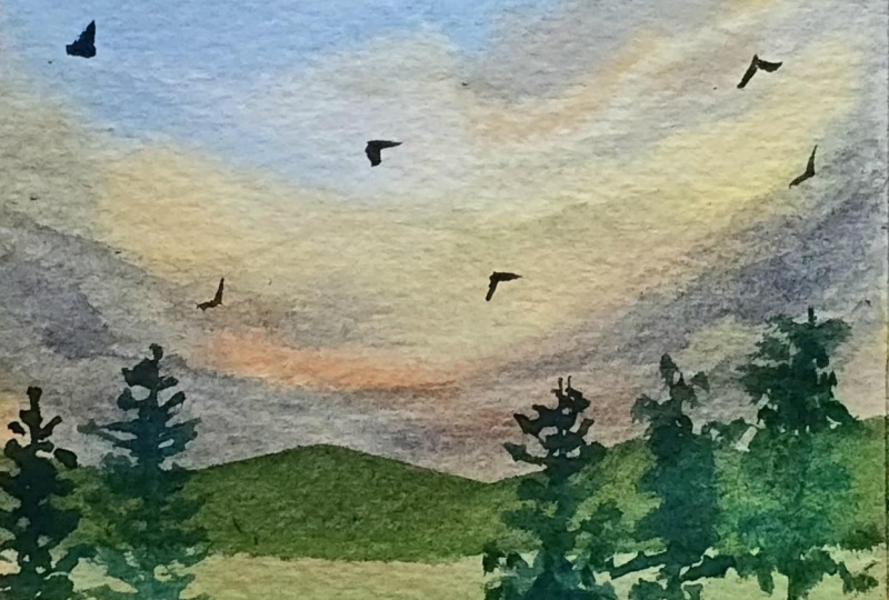 Landscapes