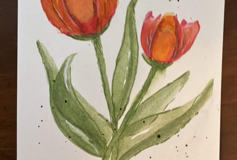 Tulips