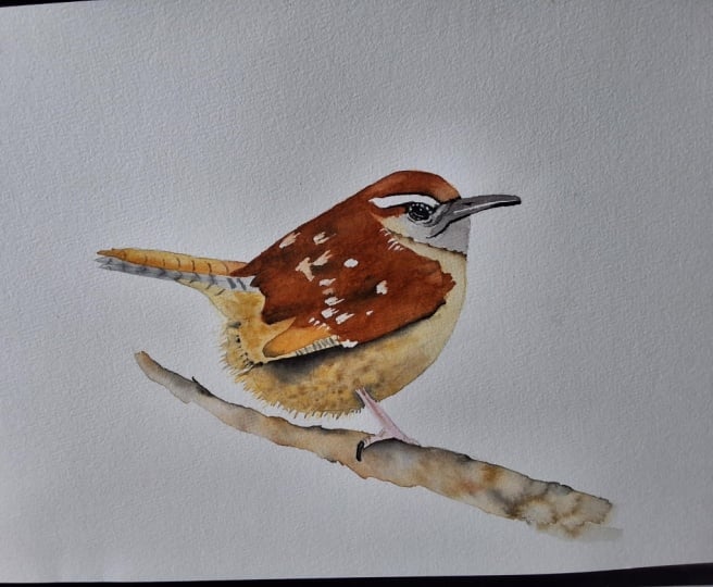 Loose watercolor