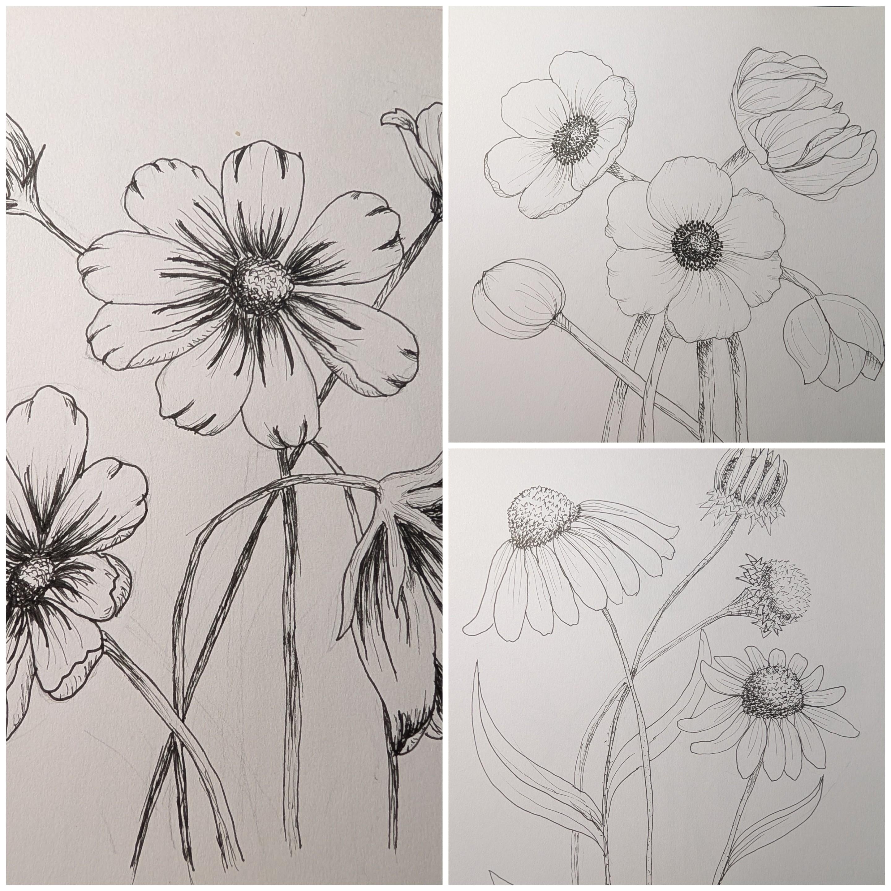 more-projects-from-class-img
