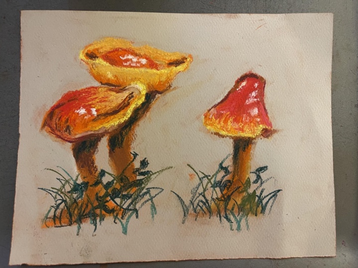 Little Mushroom Guys
