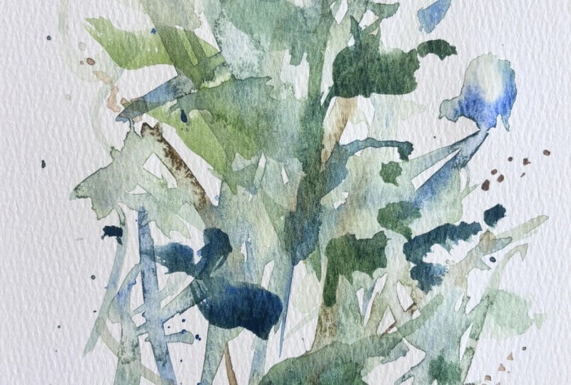 Loose leaves 8/26