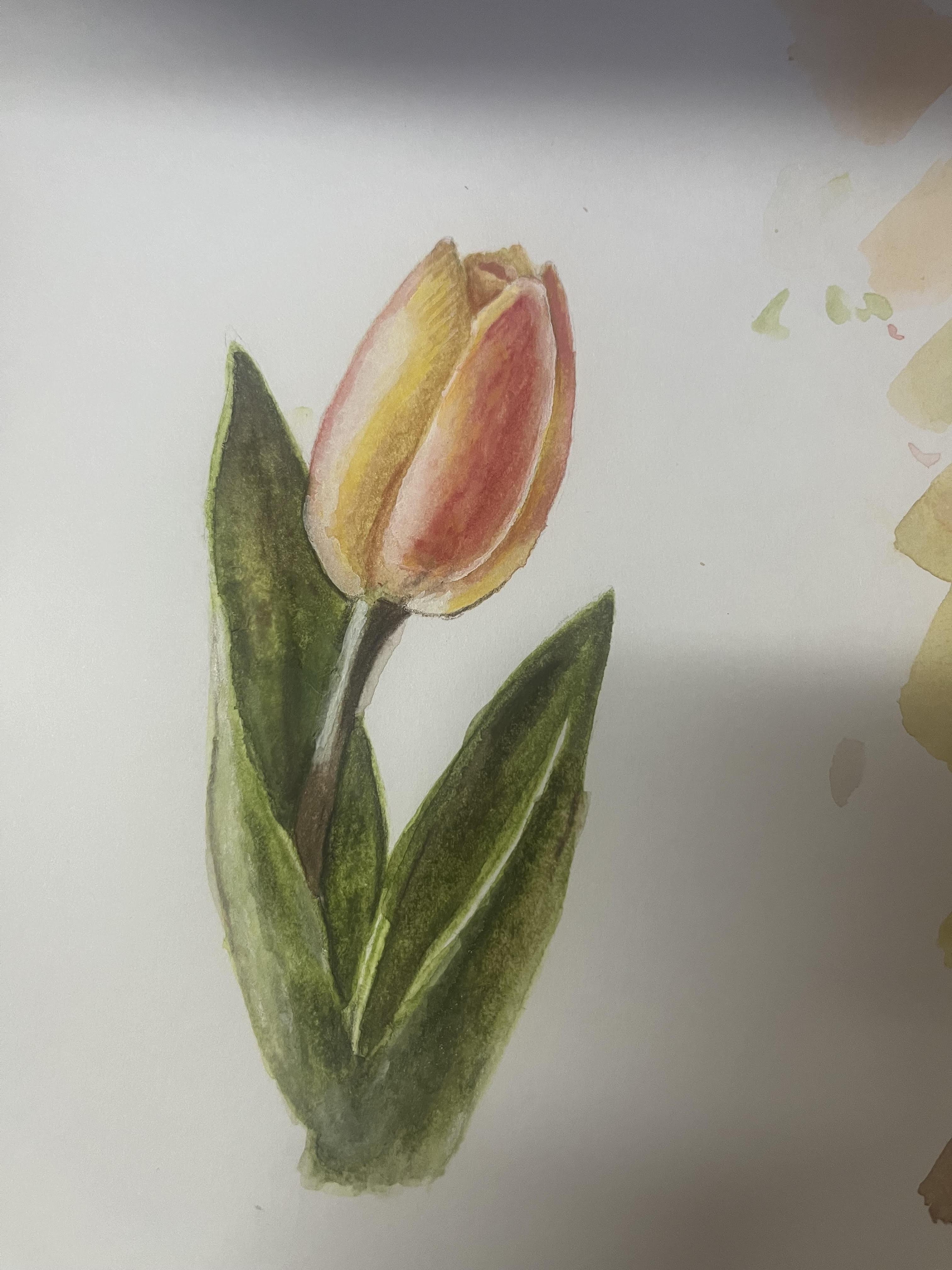 more-projects-from-class-img