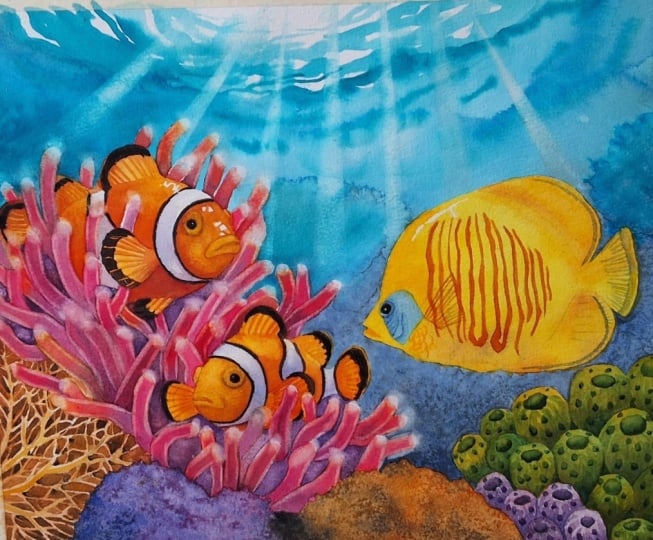 Coral reef