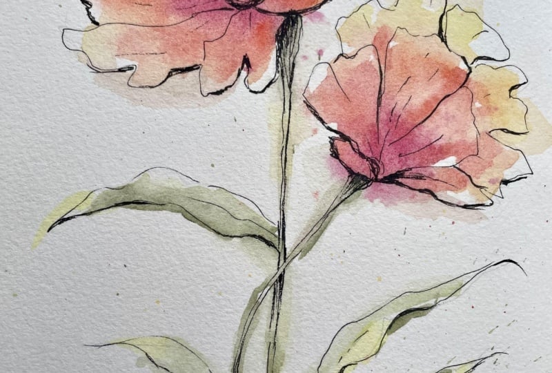 Flowers: Pen & Watercolour wash
