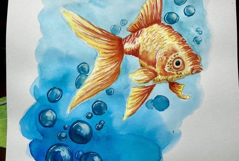 Goldfish