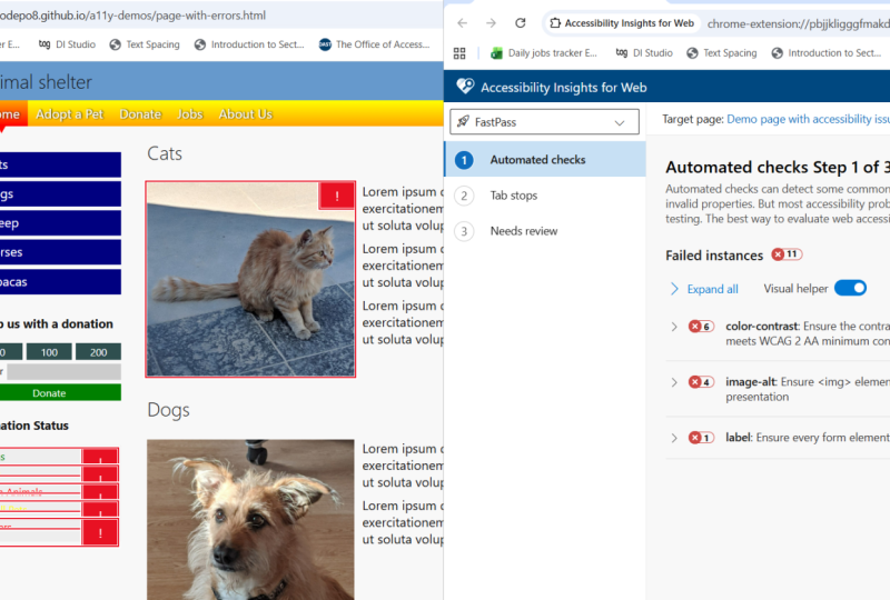 Accessibility Project with automated tools