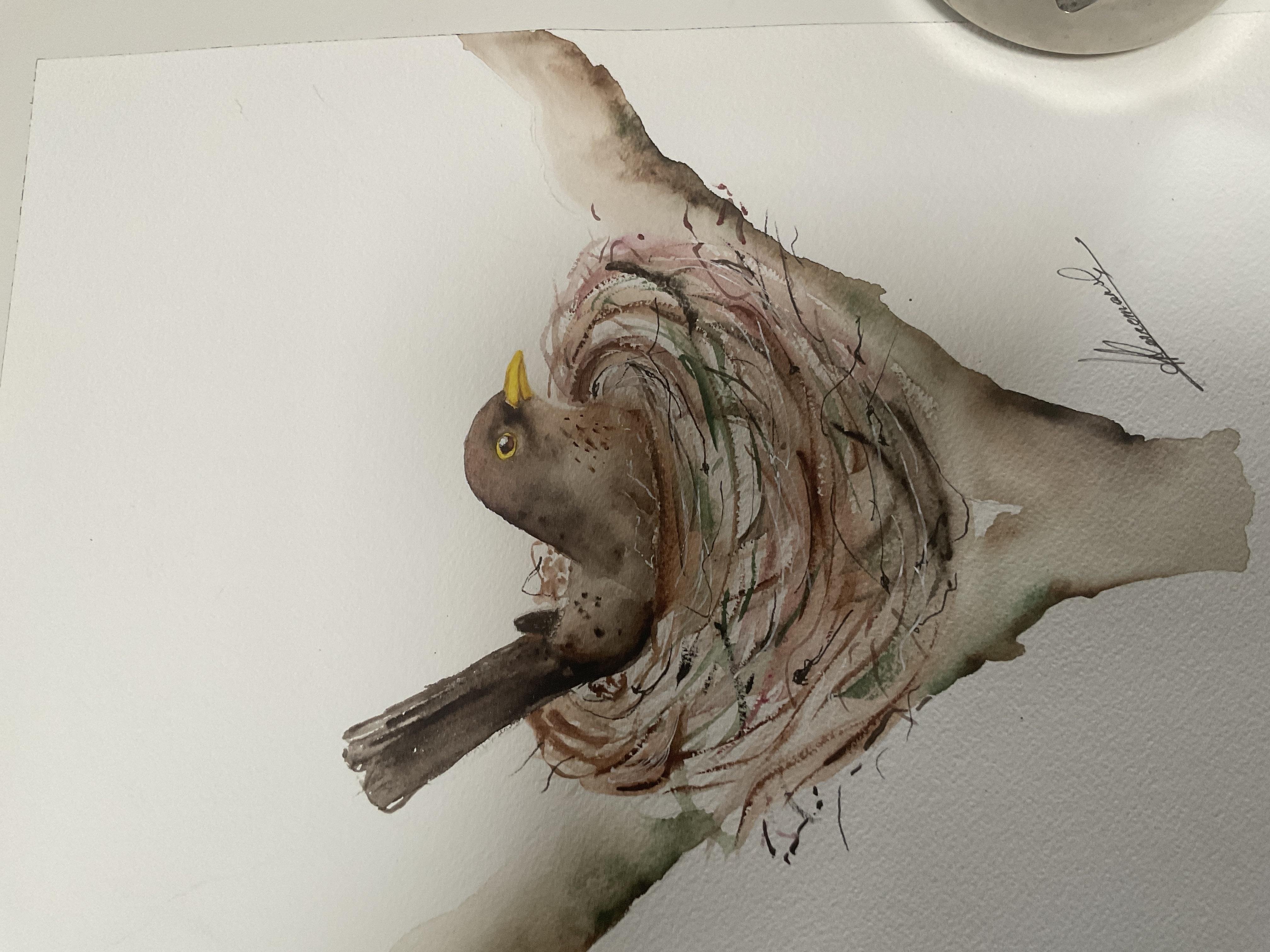 more-projects-from-class-img