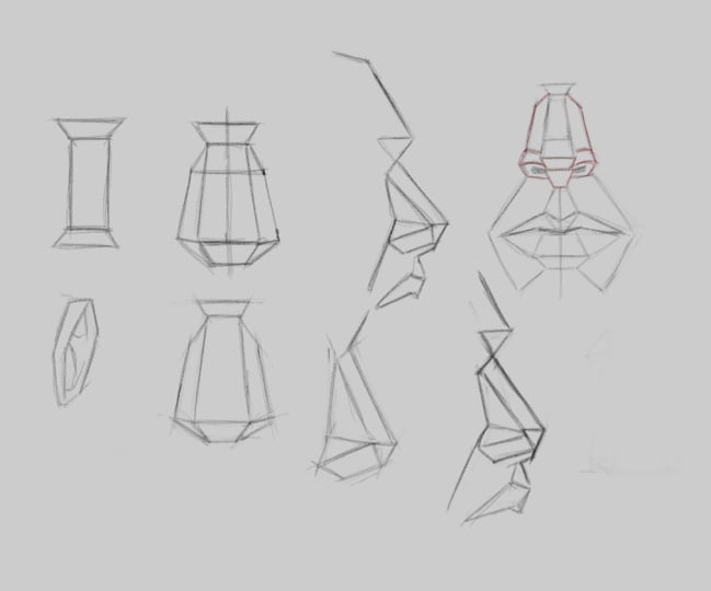 My studies for head plans