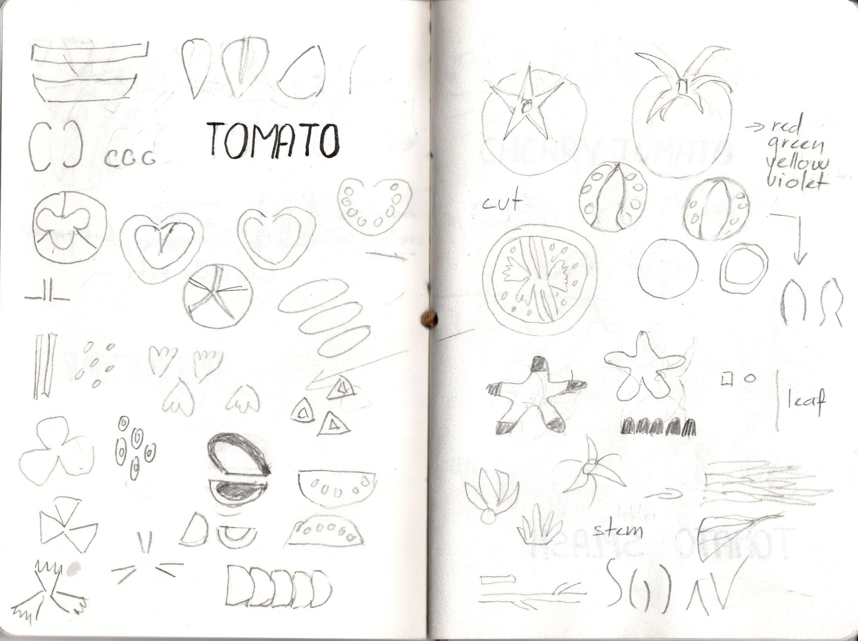 more-projects-from-class-img