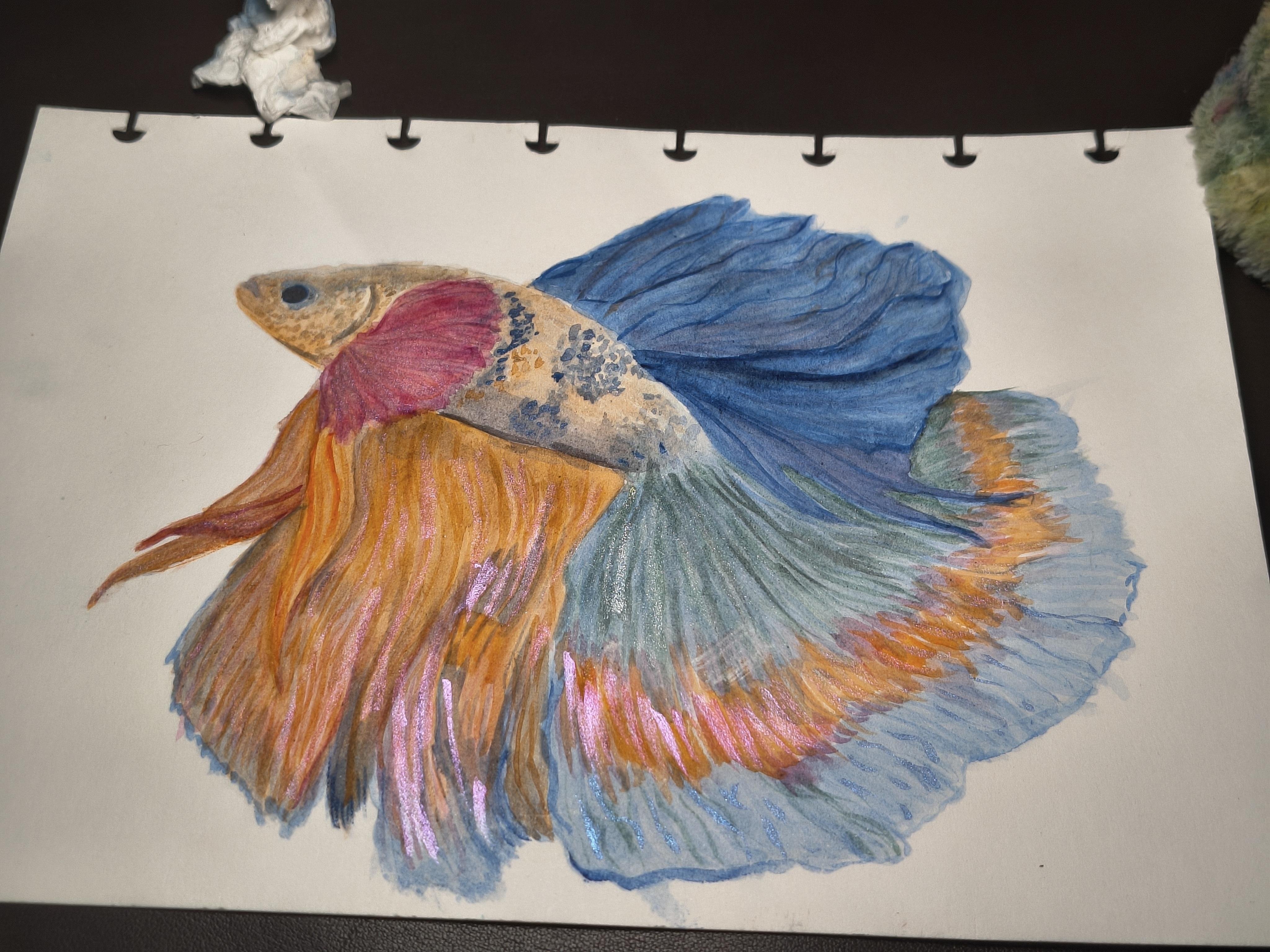more-projects-from-class-img