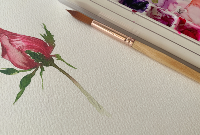 A dainty rose bud