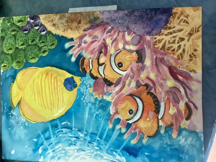 Coral reefs Krzysztof Kowalski tutorisl