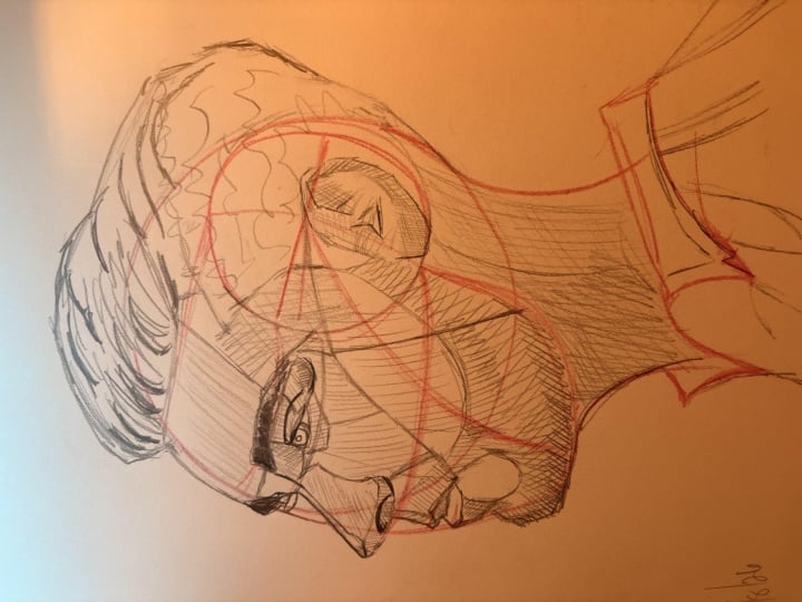 Loomis Head 1
