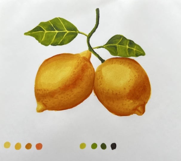 Lemons with Alcohol Markers