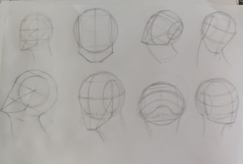 The Head Shape, Eye, Nose, Lips, Ears, Hair, Portraits.