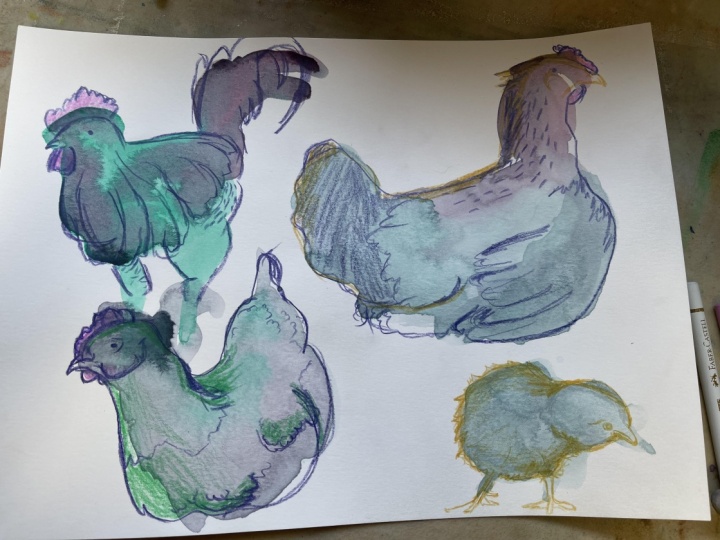 Speedy Chickens x8