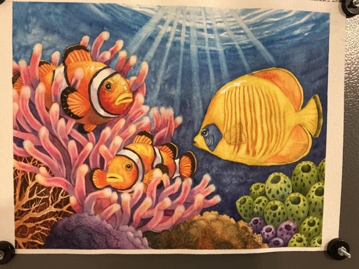 Coral Reef