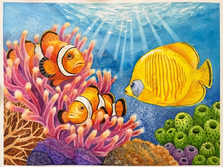 The coral was hard!