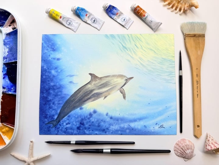 Dolphin Class - My Project