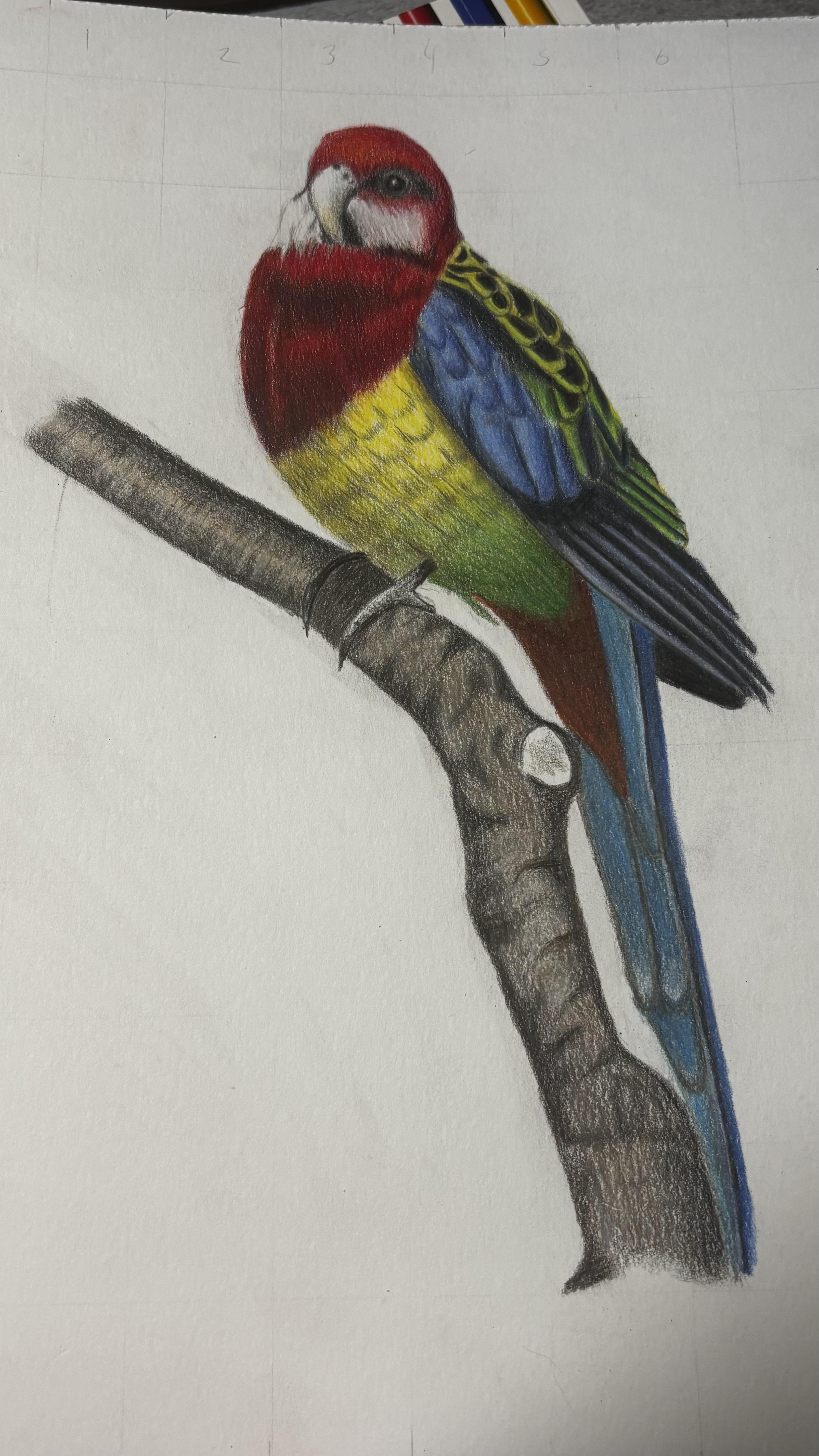more-projects-from-class-img