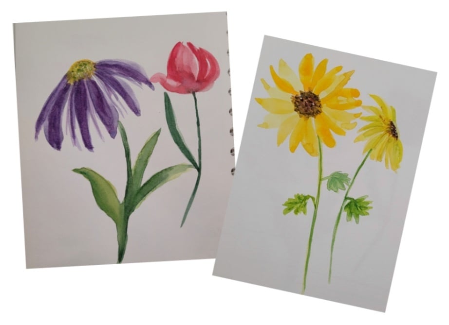 more-projects-from-class-img